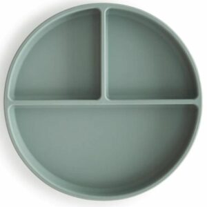 Assiette en silicone bleu à compartiments pour enfants