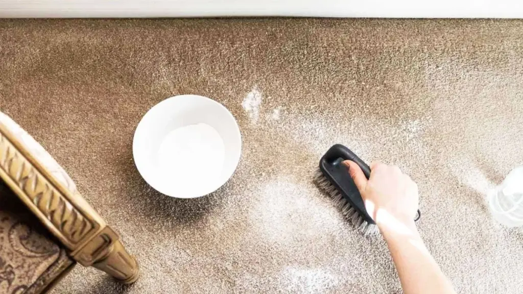 L'astuce de la coupelle orange : 5 secrets pour chasser les odeurs sans chimie