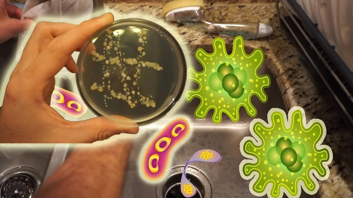 Pourquoi laver votre vaisselle à la main est souvent moins propre que vous ne le pensez - image 1