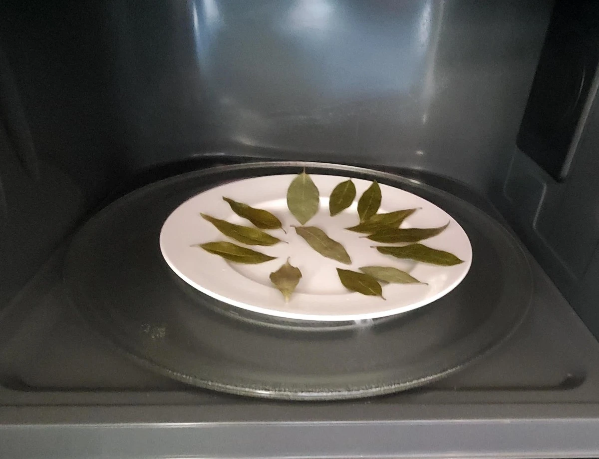 Pourquoi les experts recommandent de laisser deux feuilles de laurier dans son micro-ondes - image 1