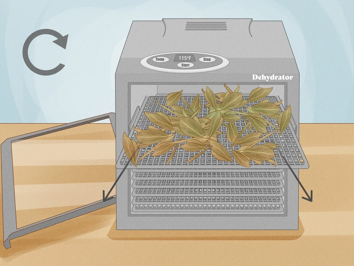 Pourquoi poser des feuilles de laurier dans votre micro-ondes : l'astuce de février 2026 - image 1